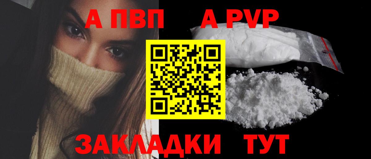 Alfa_PVP СК Дмитров