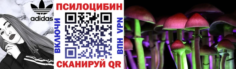 blacksprut вход  Дмитров  Галлюциногенные грибы GOLDEN TEACHER 