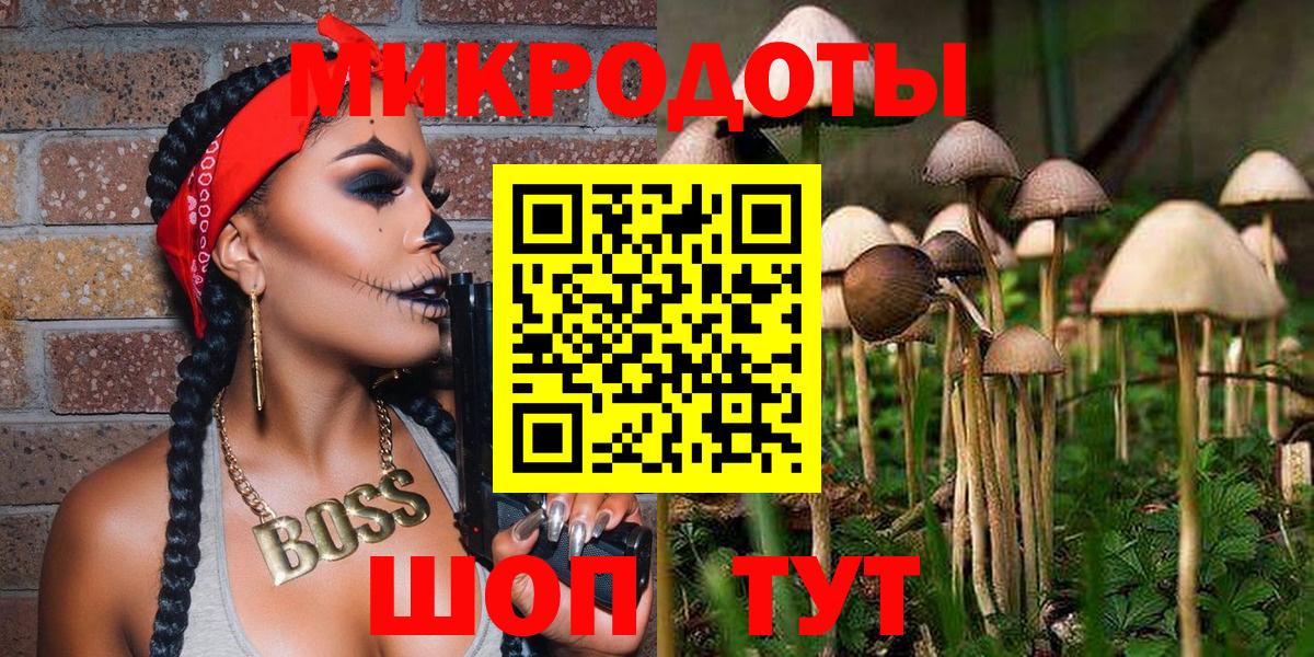 Псилоцибиновые грибы MAGIC MUSHROOMS  где купить наркотик  Дмитров 